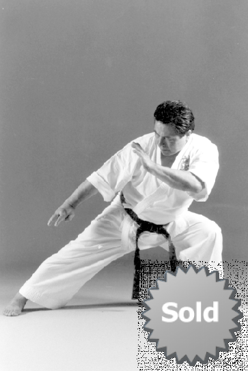 Nihon Kyokushinkai